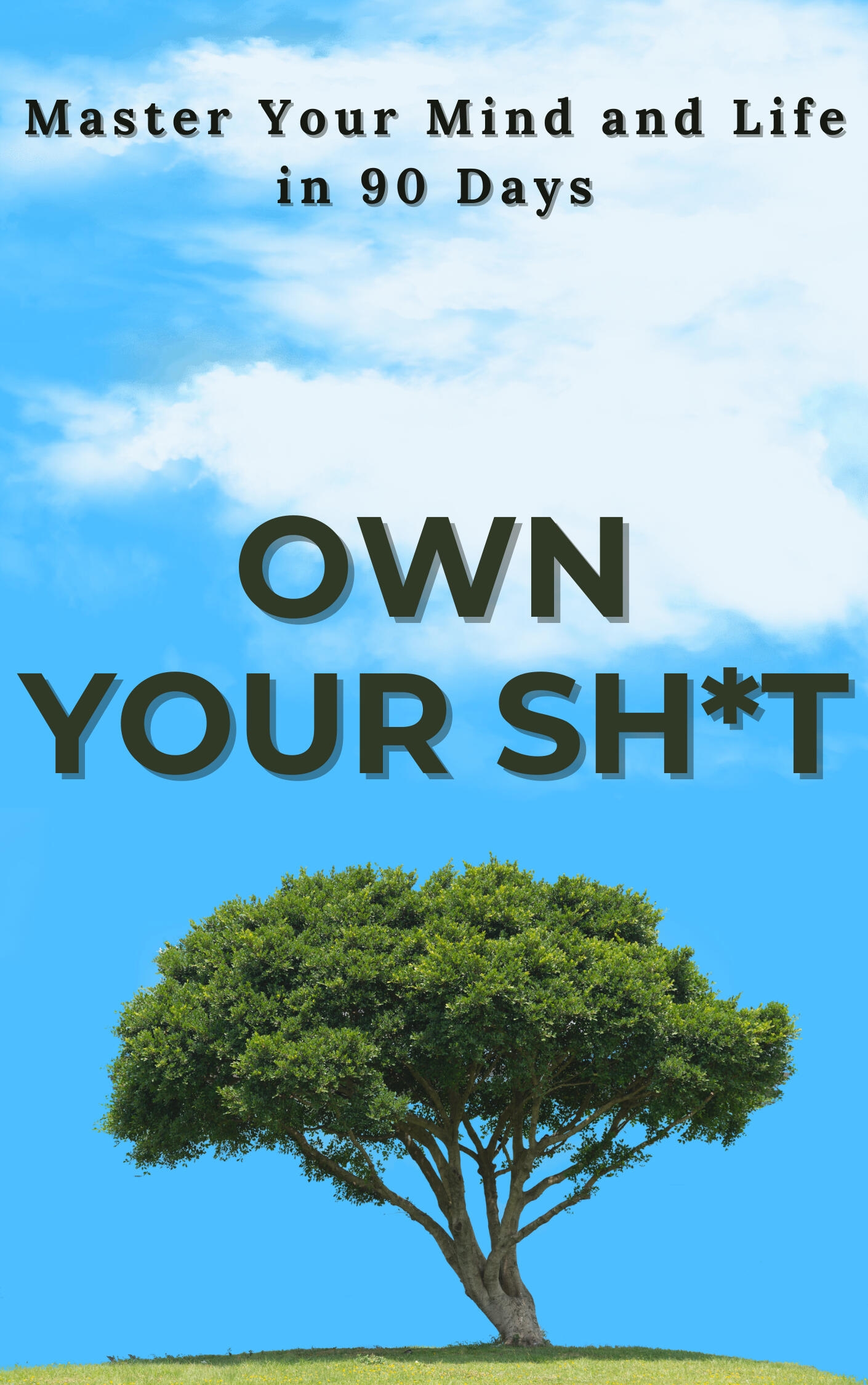 "Own Your Sh*t: Master Your Mind and Life in 90 Days" is a self-help guide encouraging readers to reclaim their power and transform their lives. The book combines ancient wisdom from various cultures with modern psychological practices to create a holistic